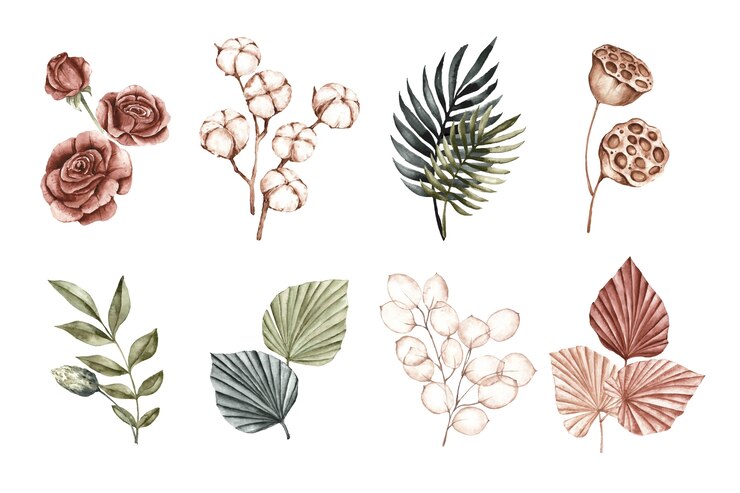 Vettore gratuito insieme dell'acquerello disegnato a mano di disegno floreale