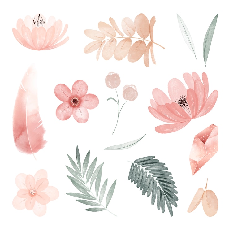 Vettore gratuito insieme dell'illustrazione dei fiori dell'acquerello