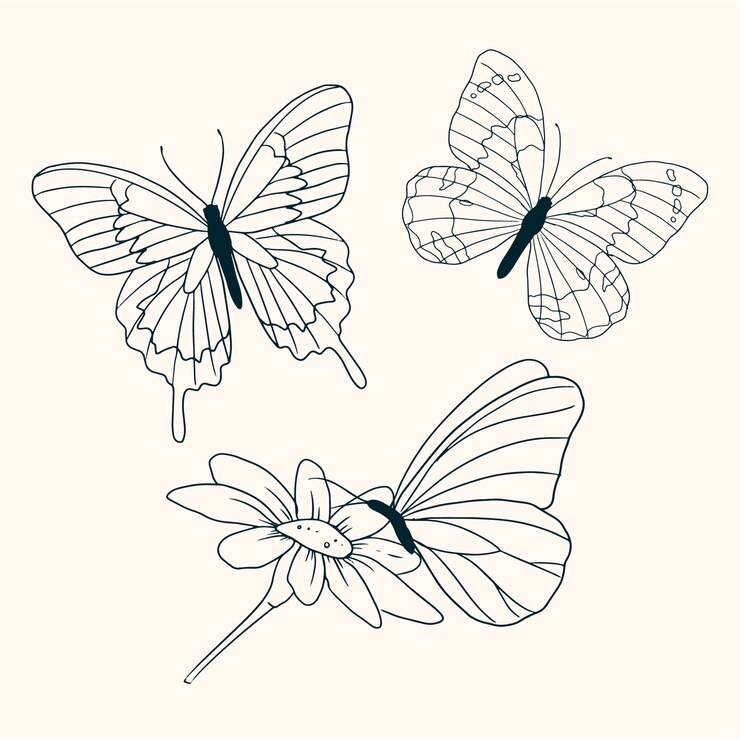 Vettore gratuito insieme dell'illustrazione della farfalla