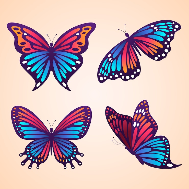 Vettore gratuito insieme dell'illustrazione della farfalla