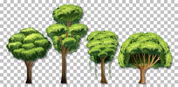 Insieme di alberi diversi su sfondo trasparente
