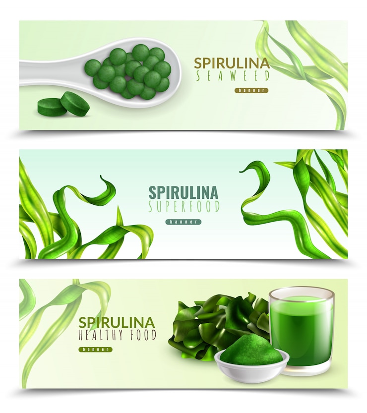 Vettore gratuito insieme di modelli di banner integratore di spirulina