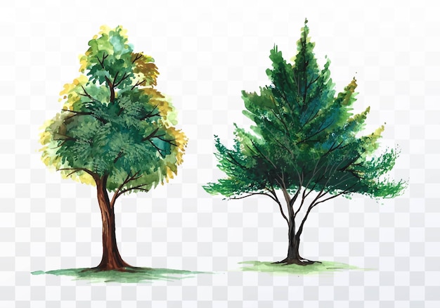 Insieme di vari alberi dell'acquerello su sfondo trasparente