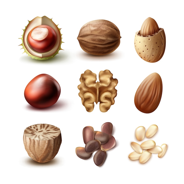 Vettore gratuito insieme di vettore di diversi dadi sgusciati, noci sgusciate, mandorle, castagne, noce moscata e cedro, vista laterale isolata su sfondo bianco