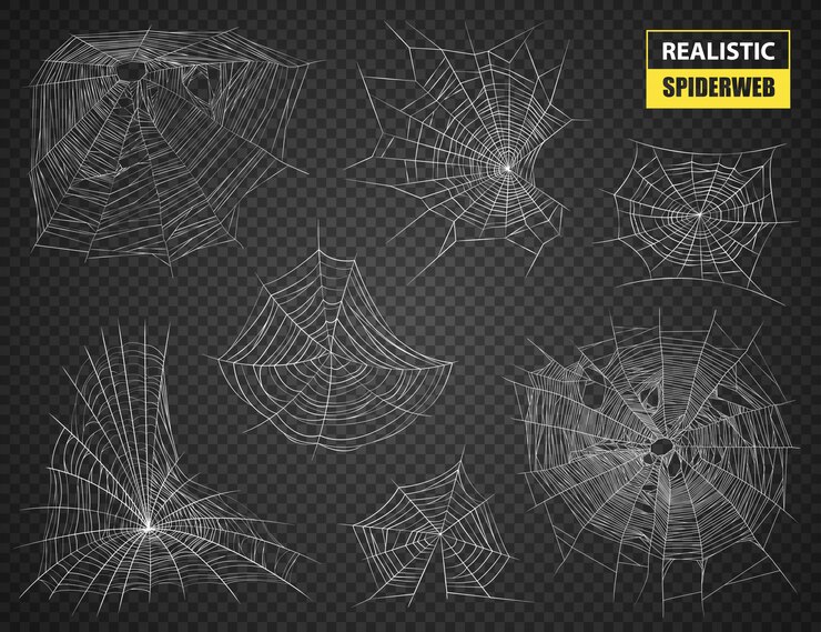 Vettore gratuito insieme isolato ragnatela realistico