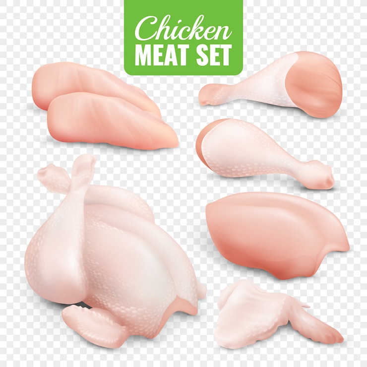 Vettore gratuito insieme trasparente dell'icona della carne di pollo