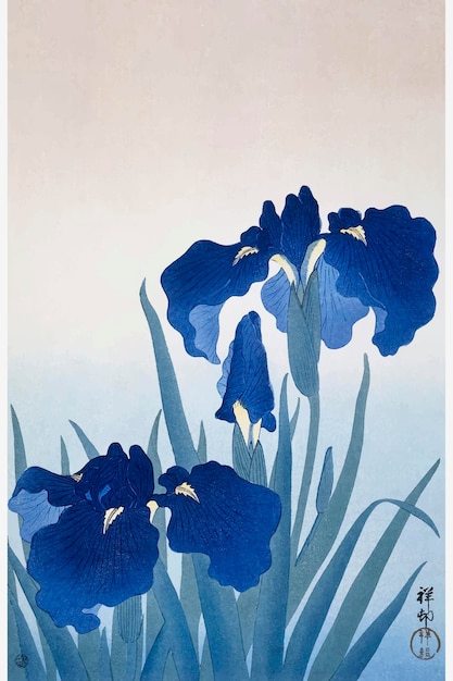 Iris fiori illustrazione vintage flowers