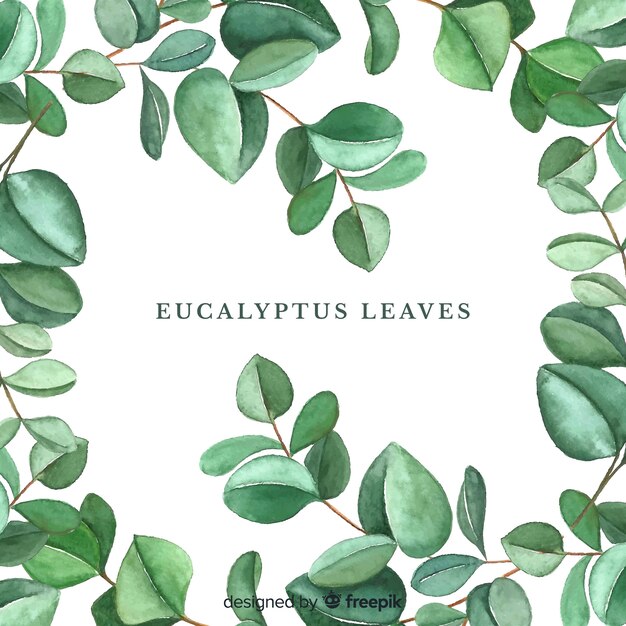 L&#39;eucalyptus disegnato a mano lascia la priorità bassa