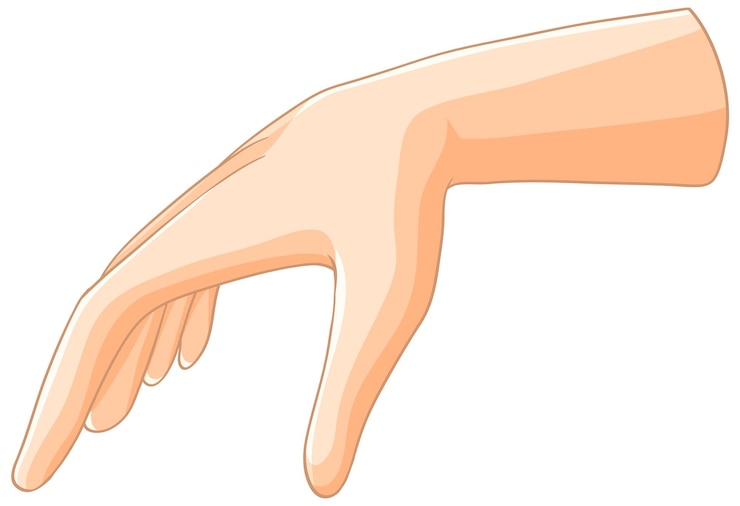 Vettore gratuito l'illustrazione di mano