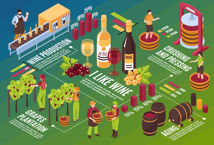 Vettore gratuito la bevanda isometrica del diagramma di flusso della cantina mette in scena la produzione dalla vigna fino all'invecchiamento del vino sull'illustrazione orizzontale verde