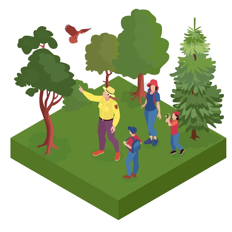 Vettore gratuito la composizione isolata nel ranger forestale isometrico con un pezzo isolato di foresta con gli uccelli degli alberi e l'illustrazione di vettore della gente di camminata