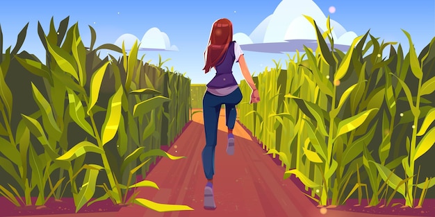 La donna corre nella vista posteriore del campo di mais, allenamento sportivo, ragazza che corre su strada sterrata con steli di piante verdi intorno. Fitness del personaggio femminile, esercizio di jogging o allenamento all'aperto, illustrazione vettoriale dei cartoni animati