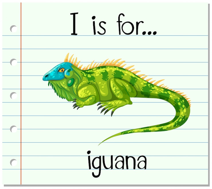 Vettore gratuito la lettera i di flashcard è per l'iguana