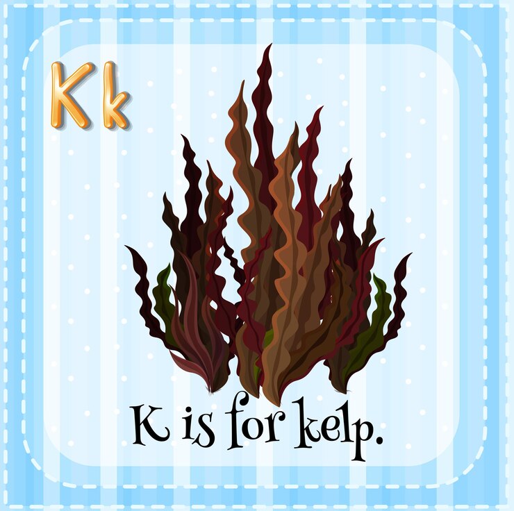 Vettore gratuito la lettera k di flashcard è per kelp