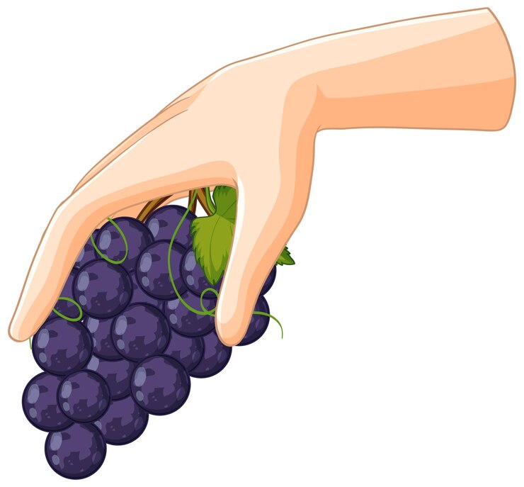 Vettore gratuito la mano che tiene un grappolo di uva