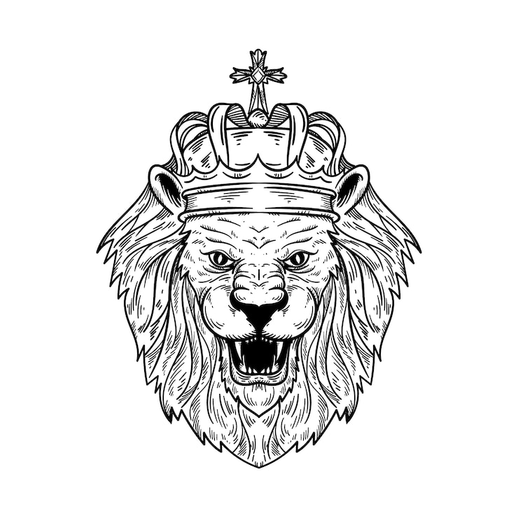 Vettore gratuito leone disegnato a mano con illustrazione del contorno della corona