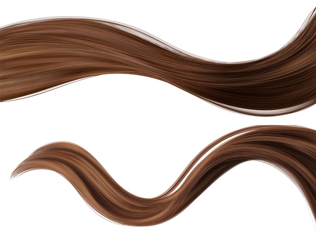 Lungo filo di capelli marroni