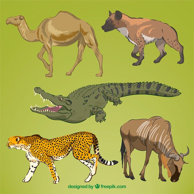 Vettore gratuito mano realistico disegnato animali selvatici