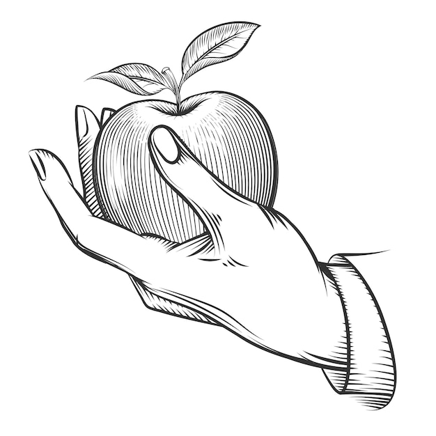 Mano umana con mela disegnata nello stile dell'incisione. Mela frutta, natura, cibo mela fresca, incisione mela con foglia, schizzo vintage organico, mela.