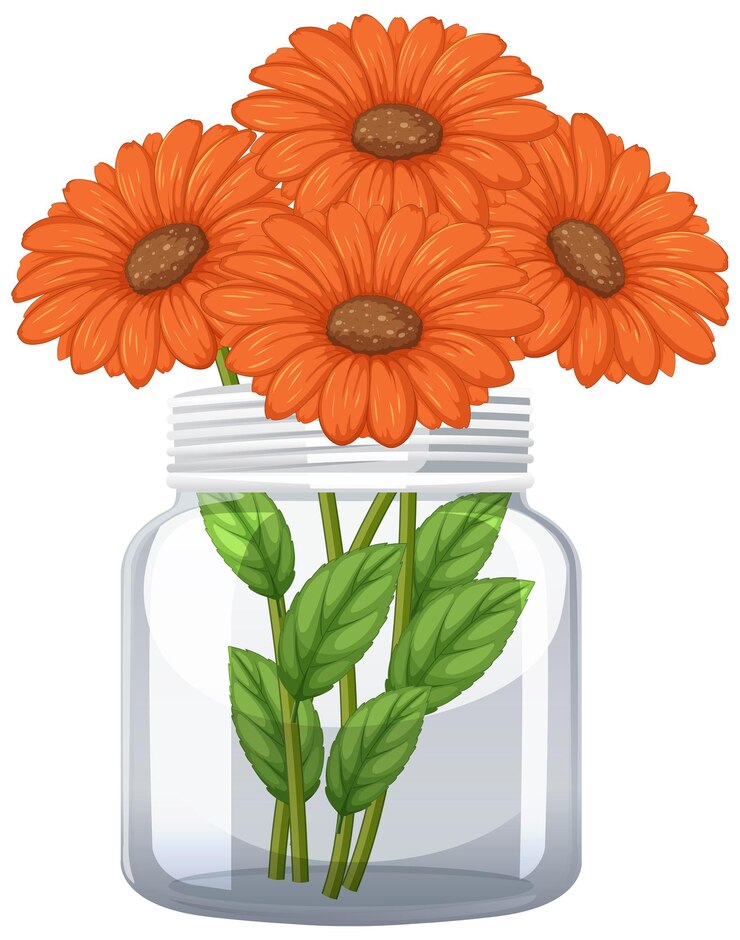 Vettore gratuito margherite di gerbera arancione in barattolo di vetro