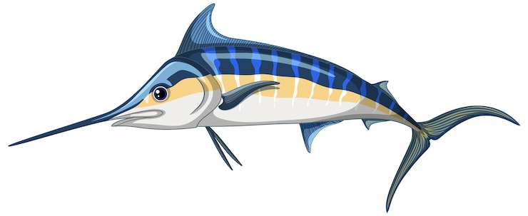 Vettore gratuito marlin blu atlantico su sfondo bianco