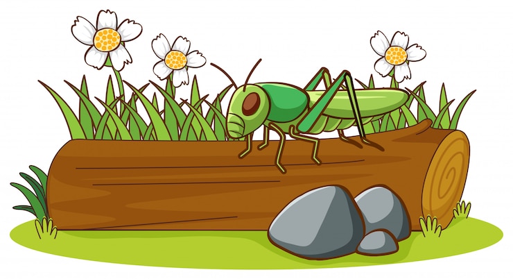 Vettore gratuito maschera isolata della cavalletta sul libro macchina