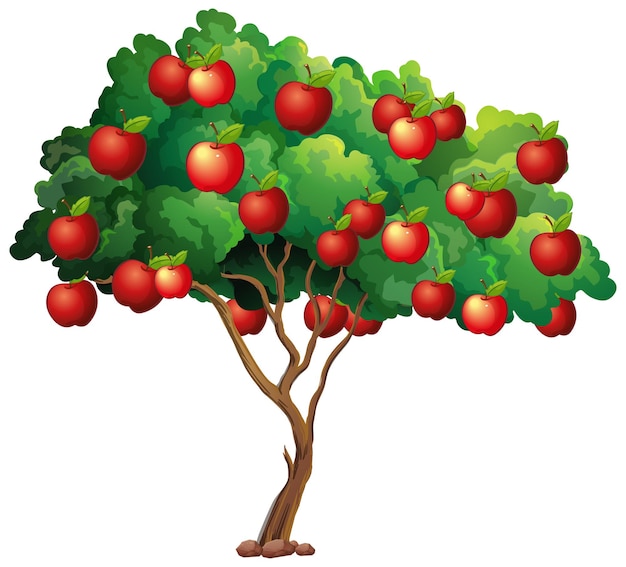 Mele rosse su un albero isolato su bianco