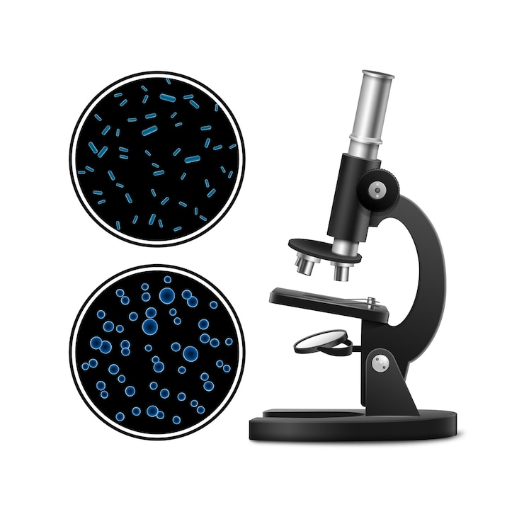 Vettore gratuito microscopio ottico in metallo nero di vettore con capsula di petri e colonie batteriche isolate su priorità bassa
