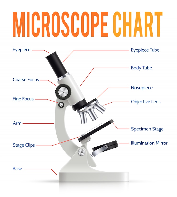 Vettore gratuito microscopio realistico parti infografica