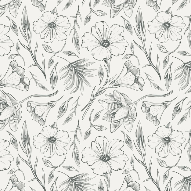 Modello botanico disegnato a mano di incisione
