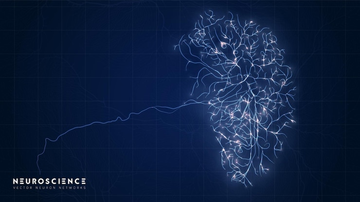 Vettore gratuito modello complesso del sistema neuronale struttura della rete neurale ricerca della rete nervosa umana organismo artificiale digitale analisi dei dati delle cellule della mente umana