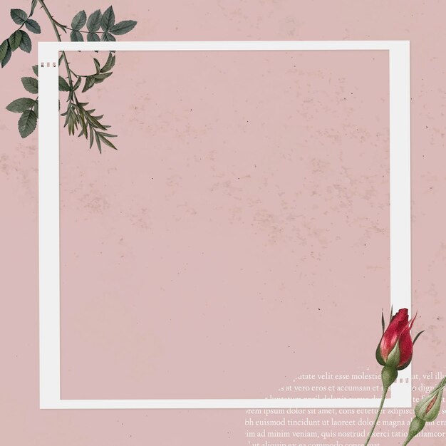 Modello di cornice per foto collage vuoto su sfondo rosa