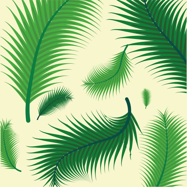 Modello di foglie di palma tropicali verdi