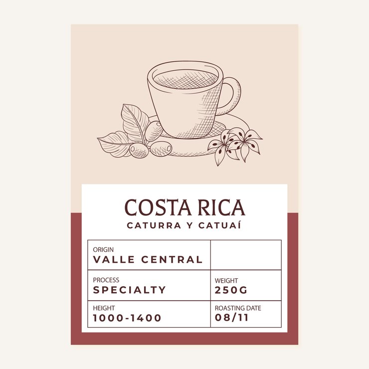 Vettore gratuito modello di progettazione dell'imballaggio del caffè