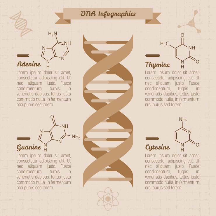 Vettore gratuito modello di progettazione infografica medica vintage, vettore