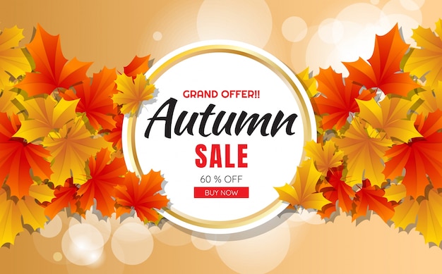 Modello di vendita autunno banner sfondo vettoriale