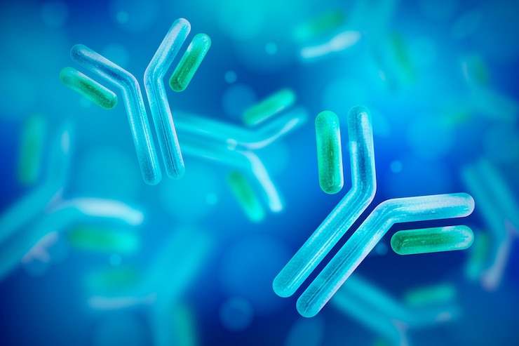 Vettore gratuito molecola di immunoglobuline anticorpali realistiche