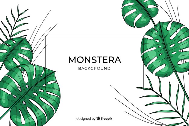 Monstera se ne va