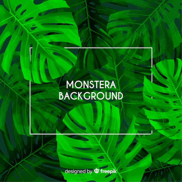 Monstera se ne va