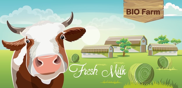 Mucca con macchie marroni e una fattoria in background. Latte fresco bio.