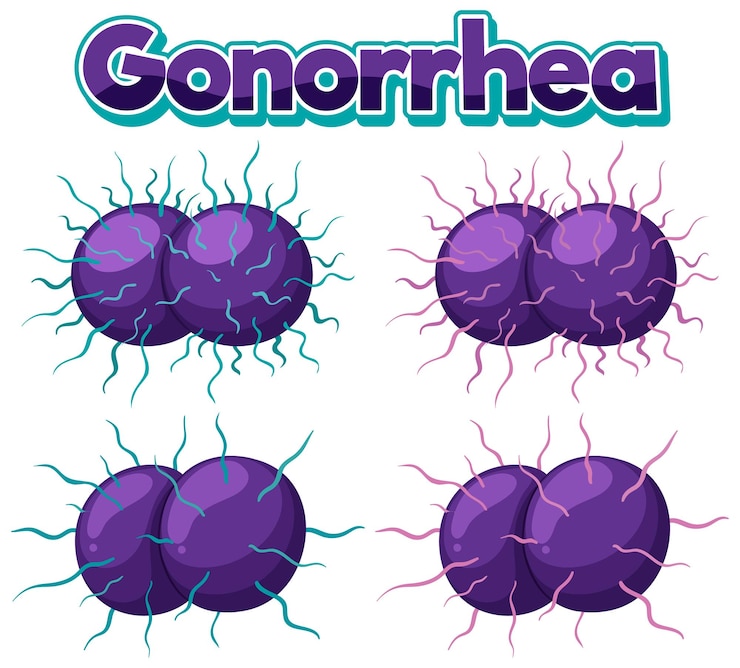 Vettore gratuito neisseria gonorrhoeae su sfondo bianco