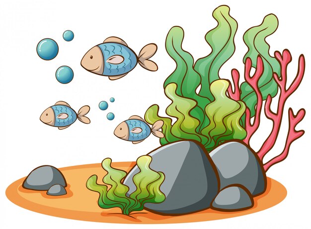 Nuoto del pesce sul fondo bianco