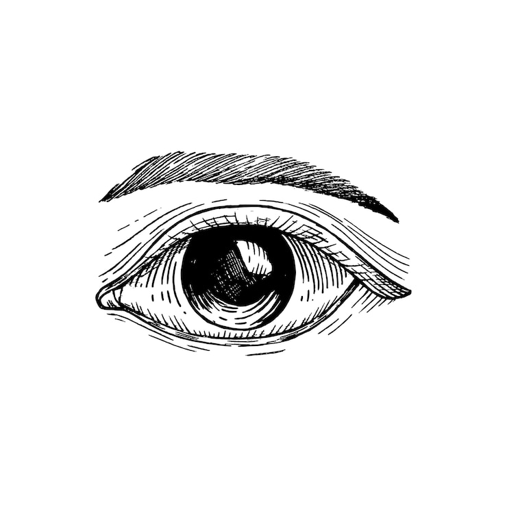 Vettore gratuito occhio umano disegnato a mano
