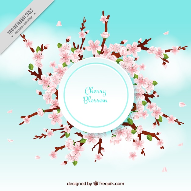 Offuscata sfondo con fiori di ciliegio
