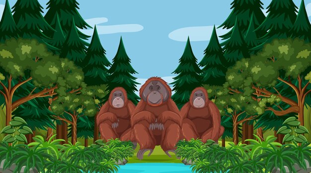 Orango nella foresta o nella scena della foresta pluviale con molti alberi