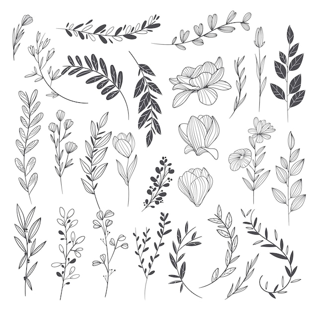 Ornamenti di nozze disegnati a mano