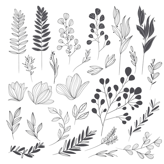 Ornamenti di nozze disegnati a mano