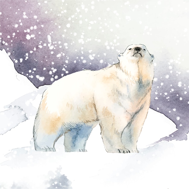 Orso polare disegnato a mano nel vettore di stile dell&#39;acquerello neve