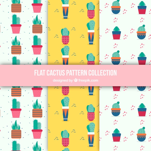 Pacchetto colorato di modelli cactus piatti