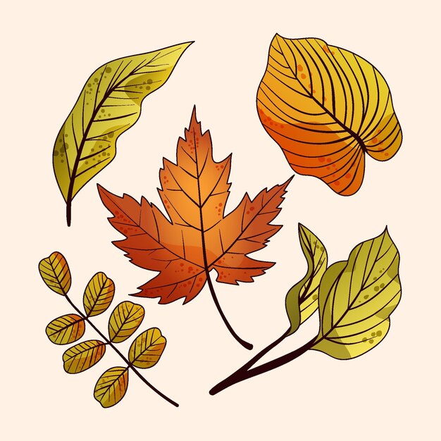 Pacchetto di foglie autunnali disegnate a mano